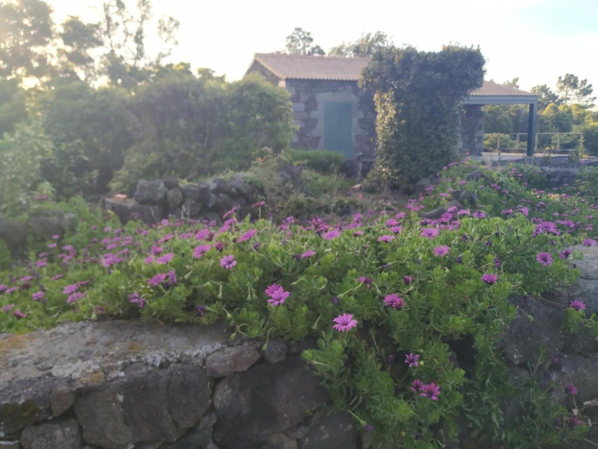 Baco's Vineyard Villa Lajido Exterior foto